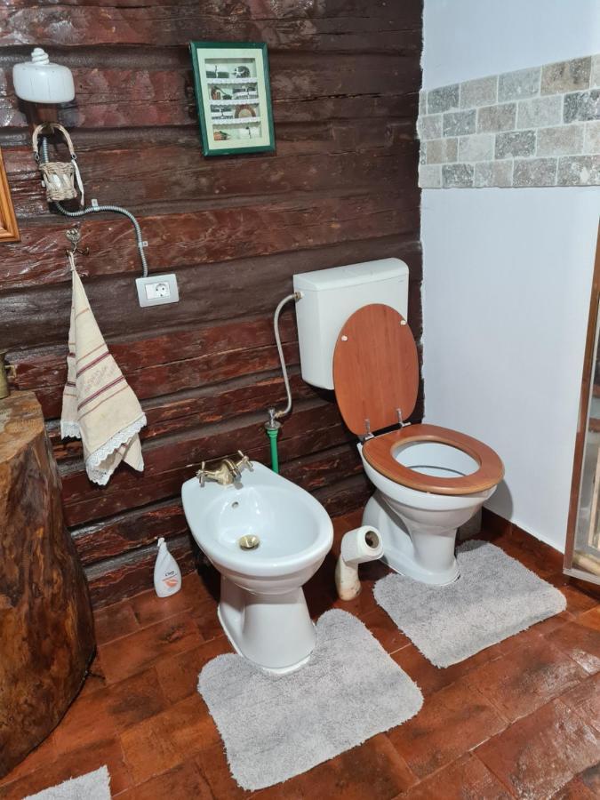 Dragus Casa Haritonヴィラ エクステリア 写真