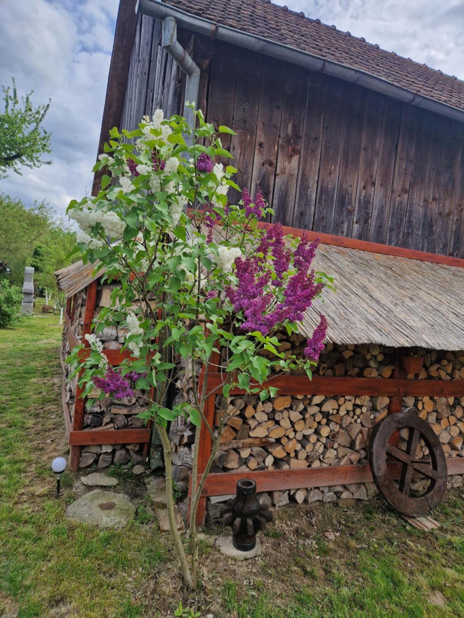Dragus Casa Haritonヴィラ エクステリア 写真